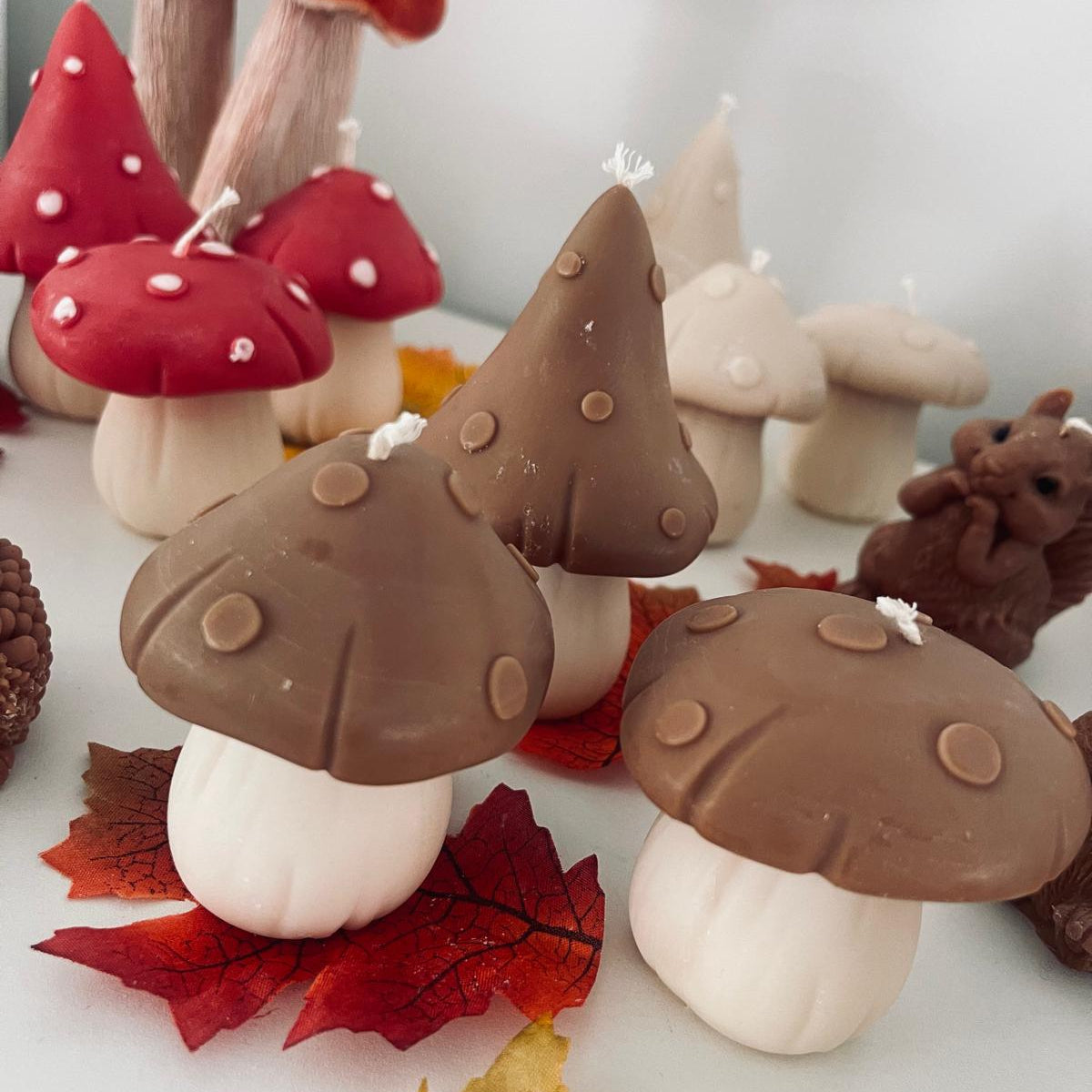 Little Forest Friends -  Mushrooms
