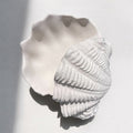 Seashell