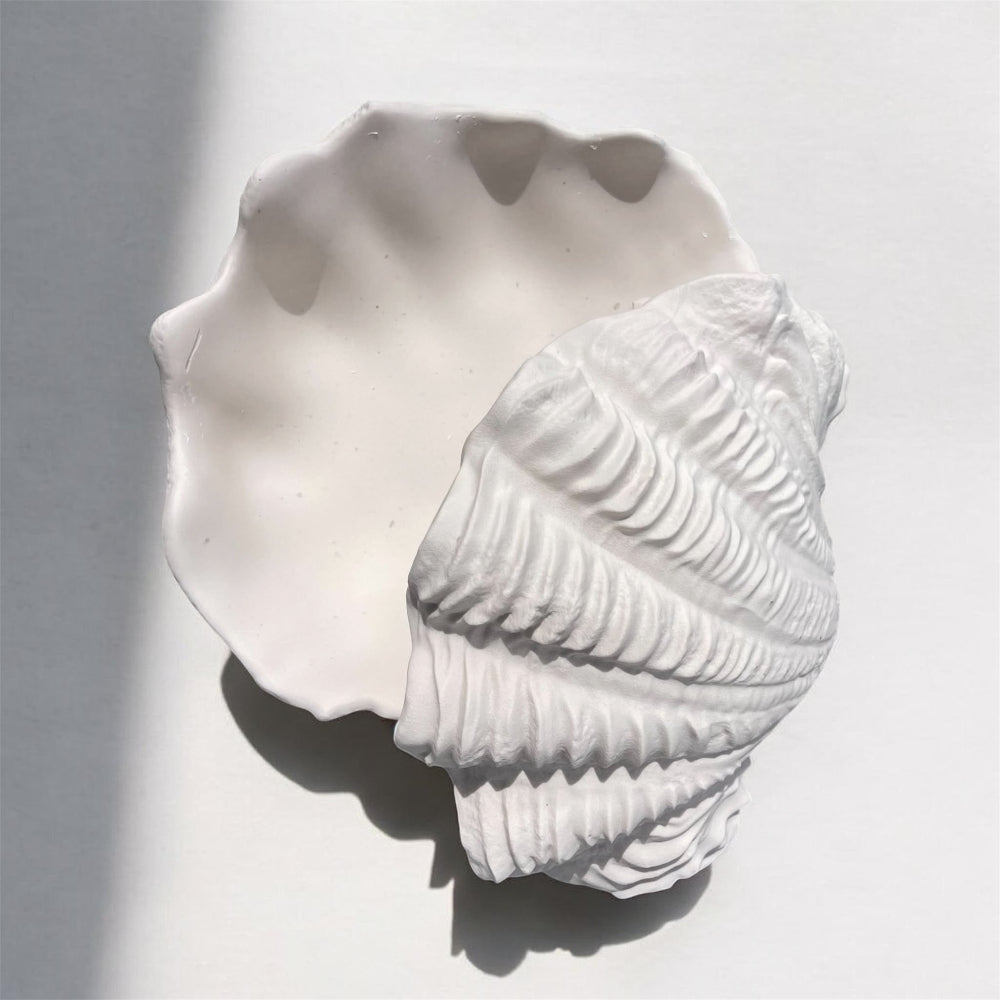 Seashell