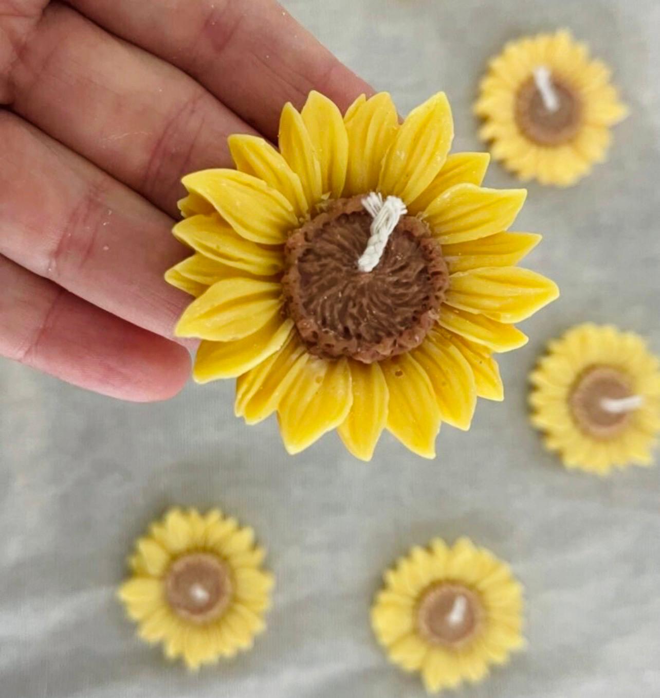 Zonnebloem