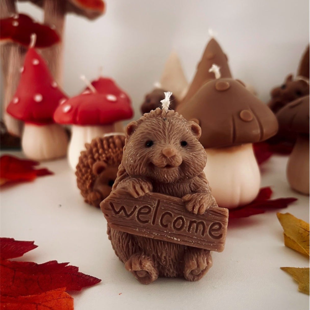 Little Forest Friend - Welcome egel