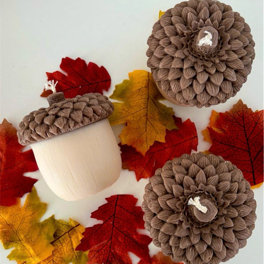 Acorn