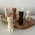 Alpaca