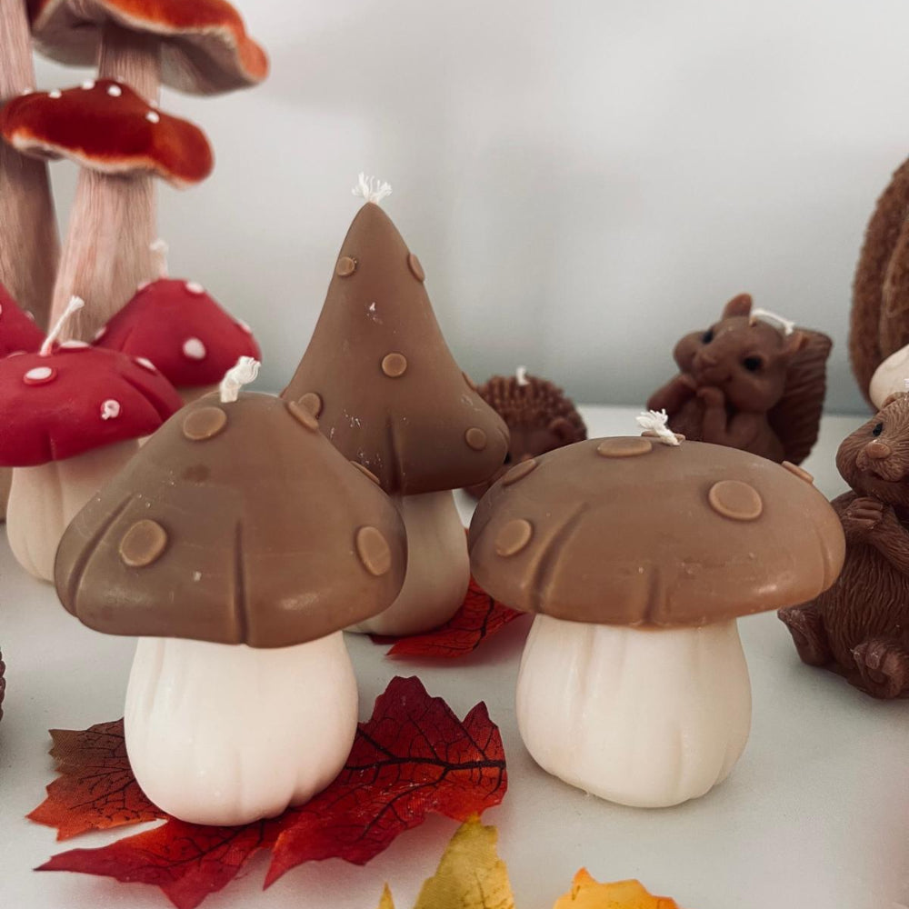 Little Forest Friends -  Mushrooms